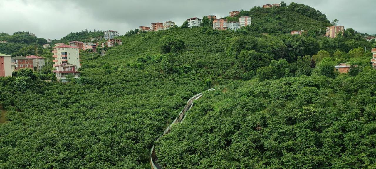 Metro Vip Aparthotel Trabzon Buitenkant foto